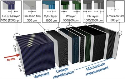 Charge identification of fragments produced in 16O beam interactions at 200 MeV/n and 400 MeV/n on C and C2H4 targets